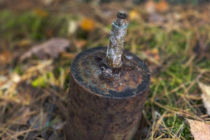 Новини - a045b974-ba7b-4cf9-b020-2d1a333f95a5 - зображення